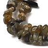 Natural Labradorite Beads Strands G-P332-23-8