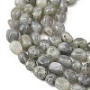 Natural Labradorite Beads Strands G-P623-A03-01-4