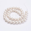 Wrinkle Textured Shell Pearl Beads Strands X-BSHE-E016-8mm-07-2