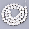 Natural Freshwater Shell Beads Strands SHEL-N026-50A-01-2