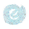 Baking Paint Electroplate Transparent Glass Beads Strands EGLA-N020-05F-2