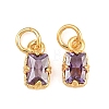 Brass Pave Cubic Zirconia Charms KK-K340-50G-07-1