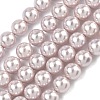 Electroplated Shell Pearl Beads Strands BSHE-G041-6mm-06-1