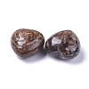 Natural Bronzite Heart Love Stone G-F659-B09-2