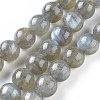 Natural Labradorite Round Bead Strands G-I156-01-10mm-6