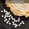 Natural White Shell Beads Strands SHEL-WH0001-007-5
