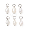 Natural Cultured Freshwater Pearl Pendants PALLOY-JF05443-01-1