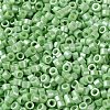 Baking Paint Glass Seed Beads X-SEED-S042-15A-08-3