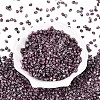 Picasso Glass Seed Beads GL-N001-02E-2