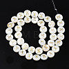 Natural Freshwater Shell Beads SHEL-S276-168X-2