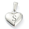 304 Stainless Steel Pendants STAS-P278-01S-P-1