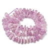 Natural Kunzite Beads Strands G-L649-C04-01-3