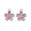 Alloy Enamel Pendants X-ENAM-S121-052E-1