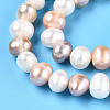 Natural Cultured Freshwater Pearl Beads Strands PEAR-N013-07F-01-4