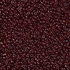 MIYUKI Round Rocailles Beads SEED-X0054-RR2410-3