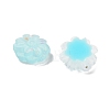 Luminous Resin Decoden Cabochons RESI-K036-05B-3