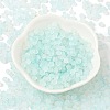 Frosted Glass Beads FGLA-D300-01B-2