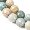 Natural Amazonite Beads Strands G-O164-02-8mm-6