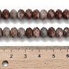 Natural Red Line Jasper Beads Strands G-Z111-A48-6