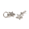 Non-Tarnish 201 Stainless Steel Charms STAS-E217-25A-P-2