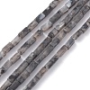 Natural Black Larvikite Bead Strands G-C301-06-1