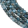 Natural Apatite Beads Strands G-P612-C-3mm-02-5