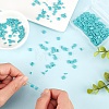 300Pcs 3 Style 2-Hole Baking Painted Glass Seed Beads SEED-CN0001-06-4
