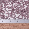 MIYUKI Delica Beads Small SEED-JP0008-DBS0728-4