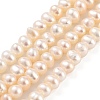 Natural Cultured Freshwater Pearl Beads Strands PEAR-C003-10F-2