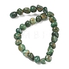 Natural African Jade Beads Strands GG-CBA9392-20-5