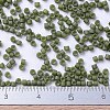 MIYUKI Delica Beads Small SEED-X0054-DBS0391-4