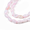 Natural Freshwater Shell Beads Strands X-SHEL-N003-25-B06-3
