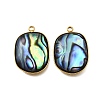 304 Stainless Steel Pave Natural Paua Shell Pendants STAS-Z125-01B-G-1