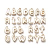 Alloy Enamel Charms ENAM-K075-05KCG-04-1