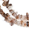 Natural Black Gold Rutilated Quartz Beads Strands X-G-G905-20-3