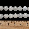 Natural Rainbow Moonstone Beads Strands G-C068-8mm-1A-3