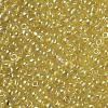 Glass Seed Beads SEED-US0003-3mm-110-2