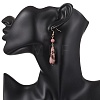 Teardrop Natural Rhodonite & Rhodochrosite Dangle Earrings EJEW-JE06840-4