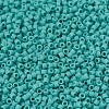 MIYUKI Delica Beads SEED-X0054-DB0759-3