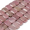 Natural Rhodonite Beads Strands G-C285-A05-01-2