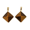 Natural Tiger Eye Pendants G-H359-03G-04-1