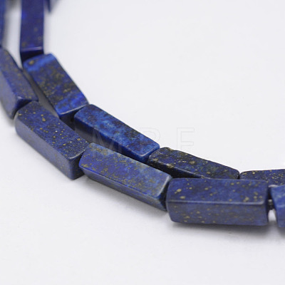 Natural Lapis Lazuli Beads Strands G-F402-11-1