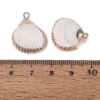 Electroplated Golden Brass Trim Natural Sea Shell Pendants SSHEL-N042-30-1