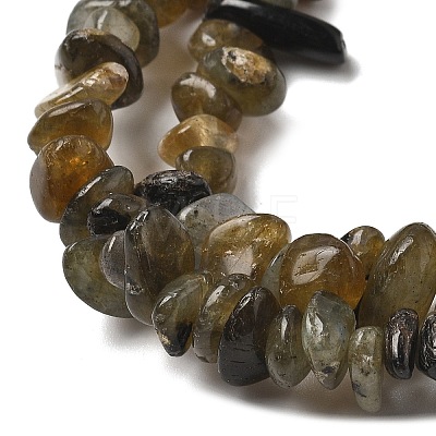 Natural Labradorite Beads Strands G-P332-23-1