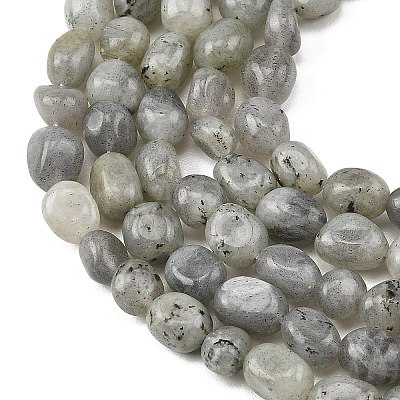 Natural Labradorite Beads Strands G-P623-A03-01-1