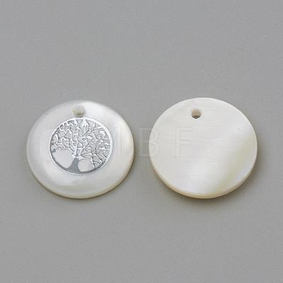 Freshwater Shell Pendants SHEL-Q010-011P-1