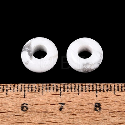 Natural Howlite European Beads G-Q602-04C-1