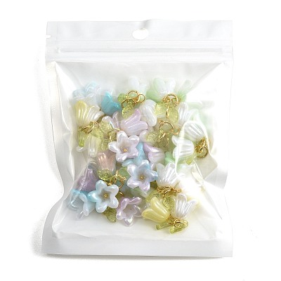 16Pcs Acrylic Pendants PALLOY-FS00076-1