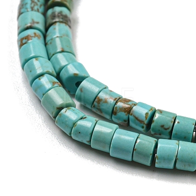 Natural Turquoise Beads Strands G-C084-D10-02-1