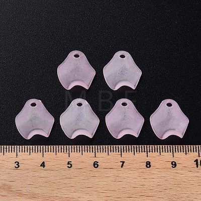 Transparent Acrylic Beads MACR-S373-106-D05-1